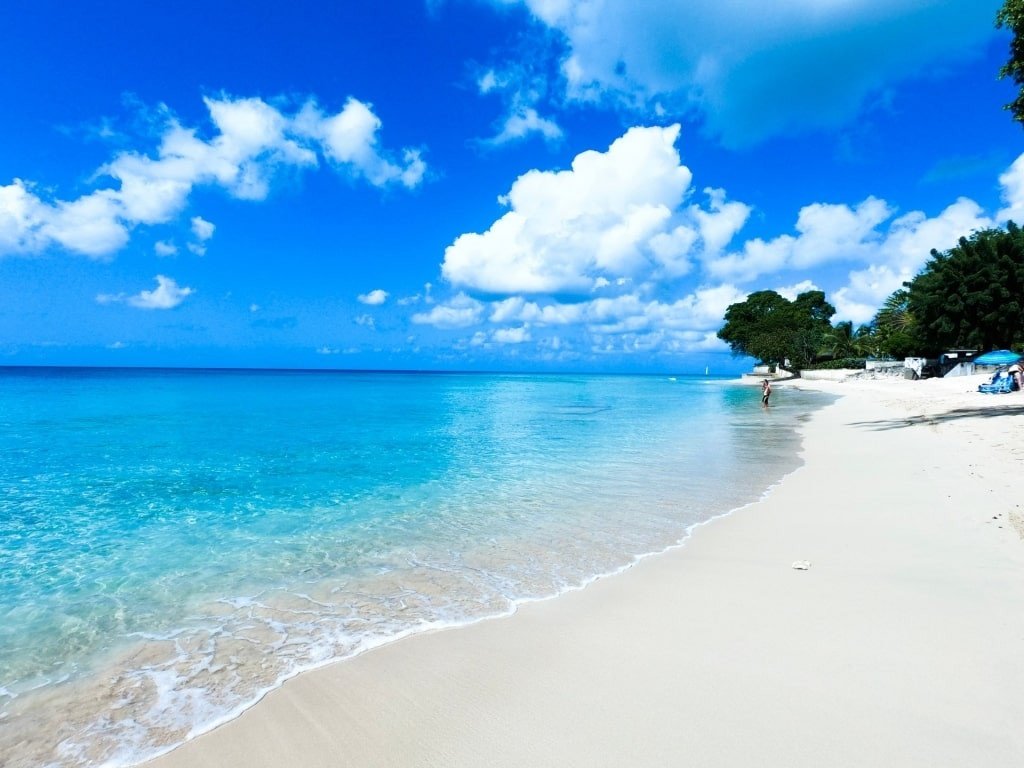 Velvet-Taxi-Barbados (3)